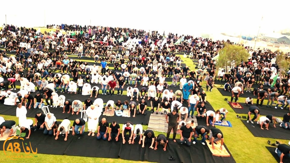 WhatsApp Image 2023-06-28 at 11.33.44 AM (3).jpeg